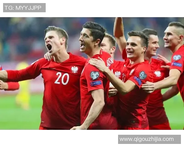 优酷日本与波兰精彩对决回放全程回顾与分析