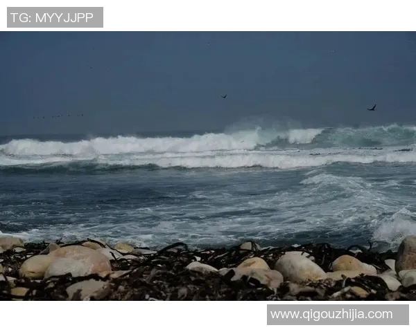 冲浪者天堂与海洋的激情碰撞探索无尽的浪潮与自由之旅