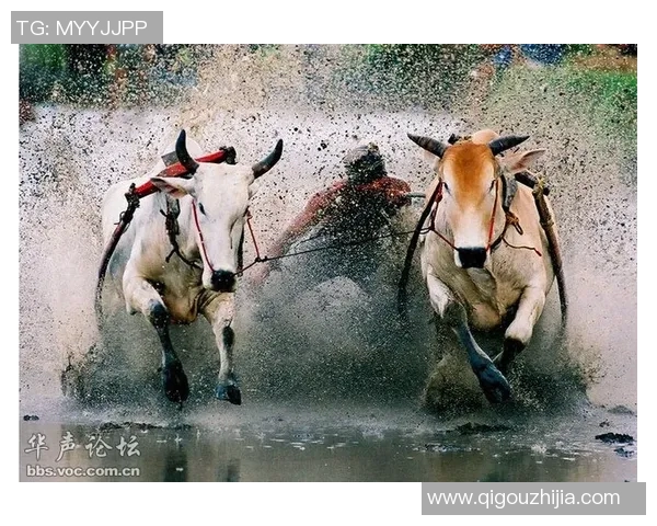 印尼军队与塞曼巴东的较量揭示东南亚安全局势新动态