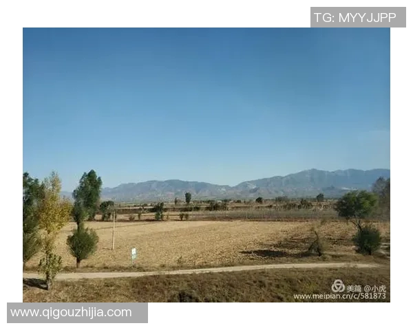 景菡一的成长之路与人生智慧探寻之旅