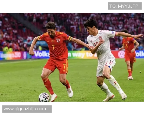 欧洲杯精彩对决爱尔兰与丹麦的激烈较量引发球迷热议 欧洲杯精彩对决爱尔兰与丹麦的激烈较量引发球迷热议