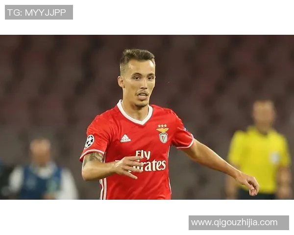 阿森纳与本菲卡对决分析及推荐策略详解